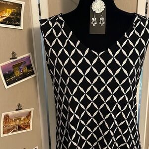 🛍️FREE SHIPPING🛍️Set: NWT earrings & NWOT WHBM top size S